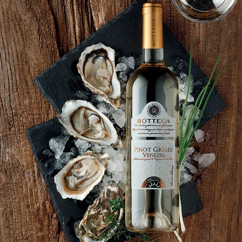 pinot grigio ostriche